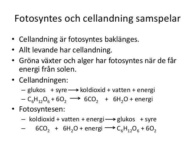 Vad är En Atom Enkel Förklaring