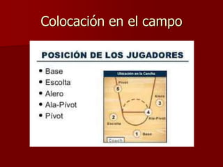 Colocación en el campo
 