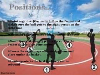 Point organizer[the leader];often the fastest and
makes sure the ball gets to the right person at the
right time
Shooting guard;creates a high number of shoots
Small forward; scoring points via cuts to the
basket and dribble penetration
Power forward ;plays offensively oftens and
plays under the basket.
Centre;protects the basket closely and to
rebound
 