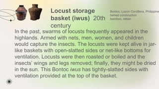 Locust storage
basket (iwus) 20th
century
★ In the past, swarms of locusts frequently appeared in the
highlands. Armed with nets, men, women, and children
would capture the insects. The locusts were kept alive in jar-
like baskets with open-slatted sides or net-like bottoms for
ventilation. Locusts were then roasted or boiled and the
insects’ wings and legs removed; finally, they might be dried
in the sun. This Bontoc iwus has tightly-slatted sides with
ventilation provided at the top of the basket.
Bontoc, Luzon Cordillera, Philippine
twined construction
bamboo, rattan
 