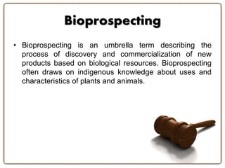Bioprospecting 
• Bioprospecting is an umbrella term describing the 
process of discovery and commercialization of new 
products based on biological resources. Bioprospecting 
often draws on indigenous knowledge about uses and 
characteristics of plants and animals. 
 