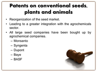 Patents on conventional seeds, 
plants and animals 
• Reorganization of the seed market. 
• Leading to a greater integration with the agrochemicals 
sector. 
• All large seed companies have been bought up by 
agrochemical companies. 
– Monsanto 
– Syngenta 
– Dupont 
– Baye 
– BASF 
 