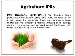 Agriculture IPRs 
• Plant Breeder’s Rights (PBR): Plant Breeders' Rights 
(PBR), also known as plant variety rights (PVR), are rights granted 
to the breeder of a new variety of plant that give them exclusive 
control over the propagating material (including seed, cuttings, 
divisions, tissue culture) and harvested material (cut flowers, fruit, 
foliage) of a new variety for a number of years. 
 