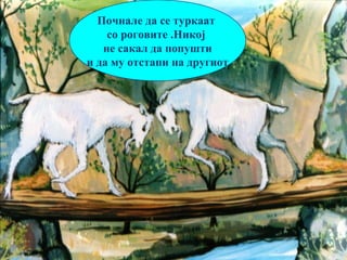 6
Почнале да се туркаат
со роговите .Никој
не сакал да попушти
и да му отстапи на другиот.
 