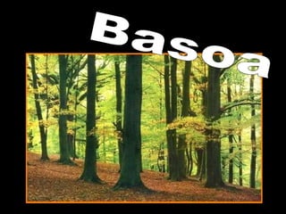 Basoa 