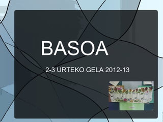 BASOA
2-3 URTEKO GELA 2012-13
 