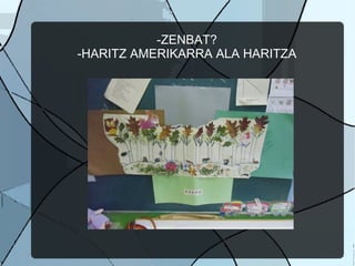 -ZENBAT?
-HARITZ AMERIKARRA ALA HARITZA
 