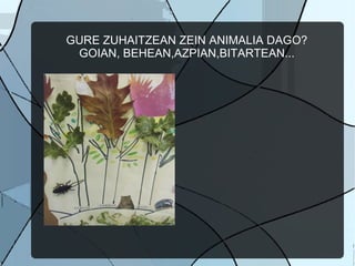 GURE ZUHAITZEAN ZEIN ANIMALIA DAGO?
 GOIAN, BEHEAN,AZPIAN,BITARTEAN...
 