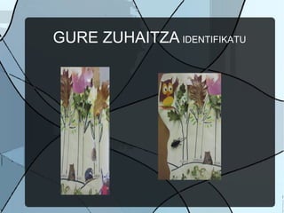 GURE ZUHAITZA IDENTIFIKATU
 