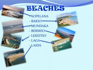 BEACHES
- SOPELANA
- BAKIO
- MUNDAKA
- BERMEO
- LEKEITIO
- LAGA
- LAIDA
 
