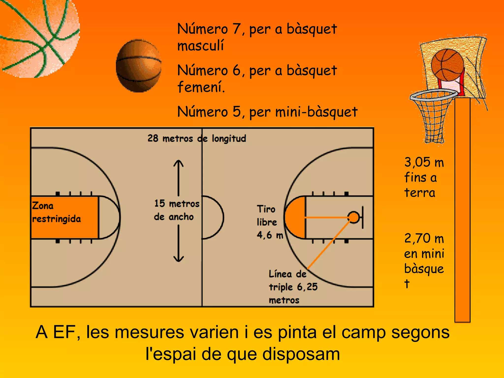 3,05 m
fins a
terra
2,70 m
en mini
bàsque
t
Número 7, per a bàsquet
masculí
Número 6, per a bàsquet
femení.
Número 5, per mini-bàsquet
A EF, les mesures varien i es pinta el camp segons
l'espai de que disposam
 