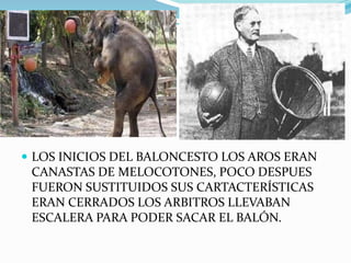  LOS INICIOS DEL BALONCESTO LOS AROS ERAN

CANASTAS DE MELOCOTONES, POCO DESPUES
FUERON SUSTITUIDOS SUS CARTACTERÍSTICAS
ERAN CERRADOS LOS ARBITROS LLEVABAN
ESCALERA PARA PODER SACAR EL BALÓN.

 