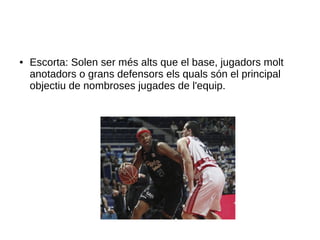 ● Escorta: Solen ser més alts que el base, jugadors molt
anotadors o grans defensors els quals són el principal
objectiu de nombroses jugades de l'equip.
 