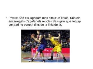 ● Pivots: Són els jugadors més alts d'un equip. Són els
encarregats d'agafar els rebots i de vigilar que l'equip
contrari no penetri dins de la línia de tir.
 