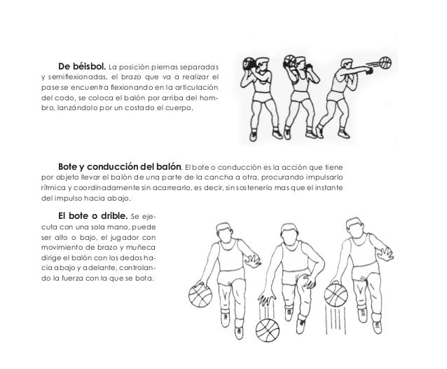 Basquetbol guía técnico pedagógica