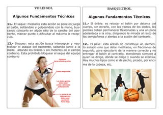 Basquetbol y voleibol