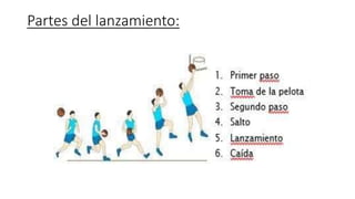 Partes del lanzamiento:
 
