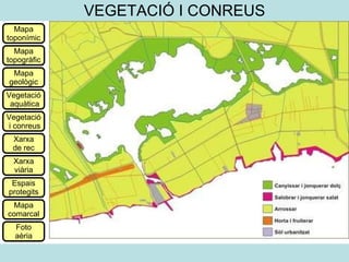 VEGETACIÓ I CONREUS Mapa toponímic Mapa topogràfic Mapa geològic Vegetació aquàtica Vegetació i conreus Xarxa de rec Xarxa viària Espais protegits Mapa comarcal Foto aèria 