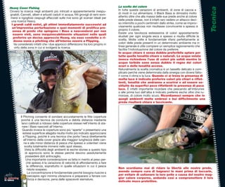 La scelta del colore




                                                                                                                                                            Tecnica
    Heavy Cover Fishing
                 ricerca negli ambienti più intricati e apparentemente inespu-
    Ovvero la rice                                                                   In tutte queste variazioni di ambienti, di zone di caccia e
    gnabili. Canneti, alberi e arbusti caduti in acqua, ﬁtti grovigli di rami som-
             Cann                                                                    di modi in cui alimentarsi, il Black Bass si dimostra molto
    mersi e rigogliosi cespugli affacciati sulle rive sono gli scenari ideali per
              rigog                                                                  attento oltre che alla massa delle sue prede anche al colore
     una ricerca Heavy.
                    H                                                                delle prede stesse, non è infatti raro vedere un attacco deci-
     I grandi caldi estivi, gli attimi immediatamente successivi ad
                 ca                                                                  so interrotto a pochi centimetri dallo strike, come se improv-
     un’improvvisa perturbazione e quei momenti di proliﬁca pre-
     un’improvv                                                                      visamente qualcosa non risultasse convincente e spesso è
      senza di prede che spingono i Bass a nascondersi per non
                    p                                                                proprio il colore.
      essere visti, sono inequivocabilmente situazioni nelle quali
                 vis                                                                 Esiste una tavolozza estesissima di colori appositamente      e
      preferire un deciso approccio Heavy, sia esso condotto a ri-                   studiati per ogni singola esca e spesso e risulta difﬁcile la  a
       dosso ossia a pitching che all’interno ovvero a Flipping.
                oss                                                                  scelta. Molte volte è fondamentale rifarsi perfettamente ai
       Va considerato infatti che i due approcci differiscono tra loro proprio in
           conside                                                                   colori delle prede presenti in un determinato ambiente ma in   n
       virtù della zona in cui si svolgerà la ricerca.                               linea generale è utile compiere un semplice ragionamento che    e
                                                                                     facilita l’individuazione del colore da preferire.
                                                                                     In acque chiare è senza dubbio preferibile optare per          er
                                                                                     tutte quelle tonalità chiare e naturali. Le acque velate       te
                                                                                     invece richiedono l’uso di colori più solidi mentre le
                                                                                     acque torbide sono senza dubbio il regno dei colori            ori
                                                                                     scuri e delle tonalità accese.
                                                                                     Naturalmente la scelta cromatica è un tassello delicato e com-om-
                                                                                     plicato perchè viene determinata dalla sinergia con diversi fatto-
                                                                                                                                                    tto-
                                                                                     ri come il clima e la luce. Quando ci si trova in presenza di a
                                                                                     molta luce è indicato preferire colori più chiari e riﬂet-    ﬂet-
                                                                                     tenti, tonalità che andranno a scurirsi e ad essere so-
                                                                                     stituite da superﬁci poco riﬂettenti in presenza di poca
                                                                                     luce. È infatti importante ricordare che pescando all’imbrunireunire
                                                                                     o alle prime luci dell’alba è indicato preferire esche oltre che ru-
                                                                                                                                                     e
                                                                                     morose, di colore molto scuro. Ricordiamoci sempre che in     he
                                                                                     quegli ambienti molto ombrosi e bui difﬁcilmente una
                                                                                     preda risulterà chiara e luccicante.



            Il Pitching consente di sondare accuratamente le ﬁtte coperture
               Pitc
            poichè è una tecnica da condurre a debita distanza mediante
            poich
             lanci calibrati a ridosso delle coperture stesse nell’intento di sta-
             nare i Bass nascosti all’interno.
              Quando invece le coperture sono più “aperte” o presentano una
              Qua
              estesa superﬁcie allagata risulta molto più indicato approcciarsi
              este
               a Flipping, poichè è una tecnica che porta l’esca direttamente
                 Fl
               all’interno della cover grazie alla maggior lunghezza delle can-
               all’i
               ne e alla minor distanza di pesca che spesso e volentieri viene
                svolta totalmente immersi nello spot stesso.
                svo
                Vista la difﬁcoltà degli ambienti le esche idonee a questo tipo
                Vis
                di approccio sono le stesse perchè devono assolutamente
                 possedere doti antincaglio.
                 po
                 Una importante considerazione va fatta in merito al peso per-
                 U
                  chè spesso è la variazione di velocità di affondamento a fare
                  ch
                  la differenza, soprattutto in quelle situazioni in cui il pesce
                  risluta sospeso.
                   r                                                                 Non scordiamo mai di ridare la libertà alle nostre prede,
                                                                                                                                          re
                   La concentrazione è fondamentale perchè bisogna riuscire a
                   L                                                                 avendo sempre cura di bagnarci le mani prima di toccarle,
                    percepire ogni minima vibrazione e prepararsi a ferrare con
                    p                                                                per evitare di ustionare la loro pelle a causa del nostro mag-
                                                                                                                                          stro
lo spinning                                                                          gior calore corporeo, andando così a compromettere il loro
                                                                                                                                          ere
in tasca            forza e decisone, pena delle spiacevoli slamature.
                     f
                                                                                     delicato muco protettivo.
 