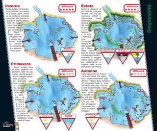 Stagionalità
  Inverno
       no
        o                                                difﬁcoltà
                                                            ﬁcoltà
                                                              oltà       Estate                                                     difﬁcoltà
  Senza dubbio è il momen-                                               Forse la stagione di
  to più difﬁcile per insidia-                                           più difﬁcile interpre-
  re il Black Bass anche                                                 tazione per via dei
   se la costanza potrebbe                                               numerosi anfratti e
   premiare alla grande in                                               nascondigli     creati
   quanto le poche abboc-                                                dalla vege-
    cate che regala                                                      tazione e
    sono assolu-                                                         dei mol-
    tamente de-                                                          teplici
     gne di nota.                                                        cam-
     Il       Black                                                      biamen-
     Bass tende                                                          ti di luce
      a rifugiarsi nel-                                                  e tempera-
      le acque pro-                                                      tura.
        fonde dove                                                       Le ore più
        si     muove                                                     fresche in-
         lentamente                                                      fatti vedo-
         e si alimenta                                     Preferire     no i Black
                                                         aree rocciose                          Le ore più calde        Preferire le ore Con tanta luce
                                                                                                                                                 ta
          molto poco.                                                    Bass occu-             su fodali pronunciati     più fresche    m        l’ombra
                                                                                                                                                        a
                                                                                                                                         meglio all’ombra
                                                                         pare le acque basse se
                                                                         e soleggiate mentre i
                                                                         momenti di maggior  or
                                                                         calore sono quelli in
                                                                         cui preferiranno ri- i
        Primavera
          i                                                              fugiarsi nelle acqueue
         I bassi fondali sono                                            profonde e all’ombra.
         le zone preferite so-
          prattutto nelle ore più                        difﬁcoltà       Autunno                                                           difﬁcoltà
          calde, perchè garanti-                                         Fatto salvo per gli improv-
          scono maggior possi-                                           visi fronti freddi che rallen-
           bilità di caccia.                                             tano improvvisamente ogni
           Le anomalie delle                                             attività, i Black Bass tendono
           rive come                                                     ad occupare tutte le zone
            le pun-                                                      utili dello specchio d’acqua
             te, sono                                                    e tutte le profondità. I bassi
             sicura-                                                     fondali risul-
              mente                                                      tano molto
              le zone                                                    produttivi
              che        at-                                             per via del-
               traggono                                                  le tempera-
               i     primi                                               ture più miti
                Black                                                    che attraggono
                B a s s                                                  numerose co-
                 che vi si                                               lonie di pesce
                 avvicina-                                               foraggio.
                 no prima di
                                      Le ore più calde      Preferire          Preferire le ore
                  iniziare la colo-   in acqua bassa        le punte               centrali
                  nizzazione degli
                   areali di frega.

lo spinning
in tasca
 