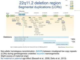 Anne Bassett: Studying Psychosis in 22q11 Deletion Syndrome | PDF