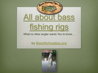 All about bass fishing rigs What no other angler wants You to know… by Bassfishingtips.org 