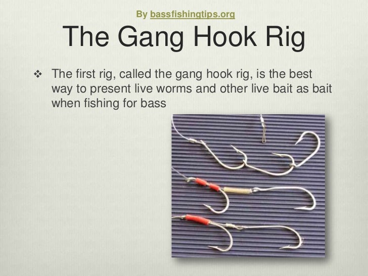 Bass fishing rigs