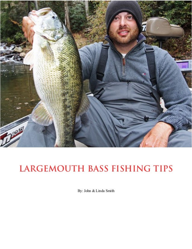 Bass Fishing Tips And Techniques Summer Bass Fishing Tips Techniques