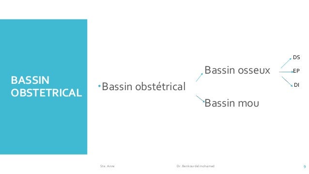 bassin mou pdf [enregistrement obstetrical automatique] Bassin