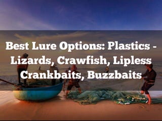 Bass Lure Cheat Sheet