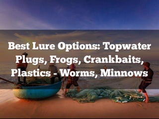 Bass Lure Cheat Sheet
