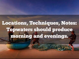 Bass Lure Cheat Sheet