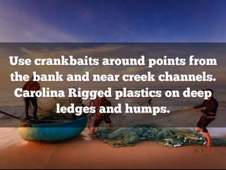 Bass Lure Cheat Sheet