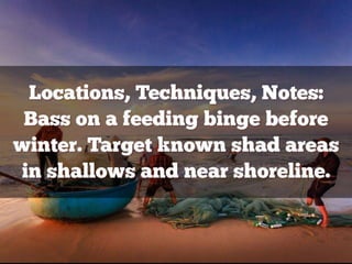 Bass Lure Cheat Sheet