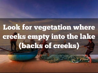 Bass Lure Cheat Sheet