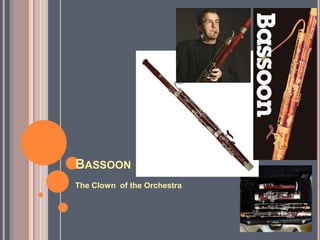 BASSOON
The Clown of the Orchestra
 