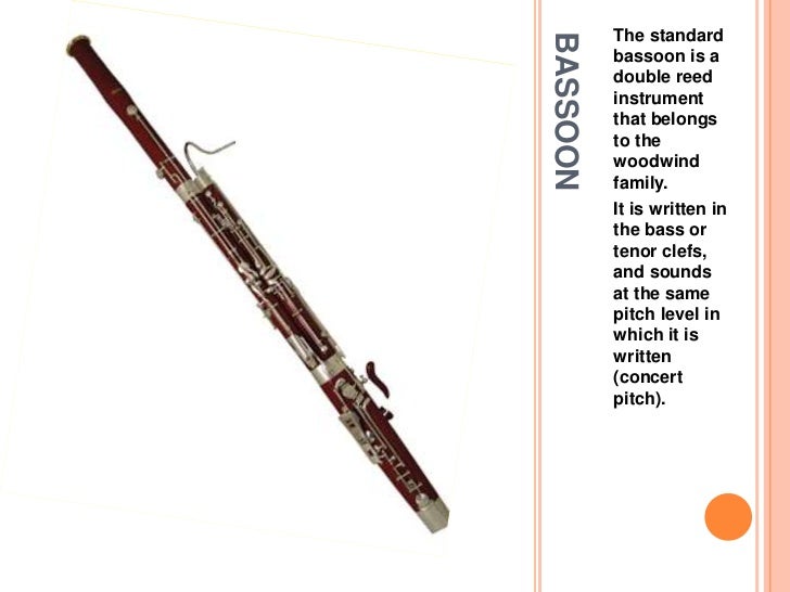 bassoon