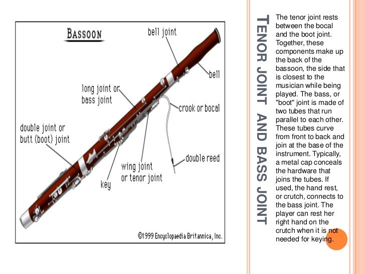 Bassoon