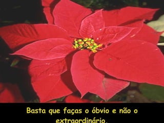 Basta que faças o óbvio e não o extraordinário. 