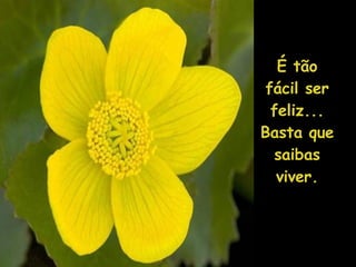 É tão fácil ser feliz... Basta que saibas viver. 