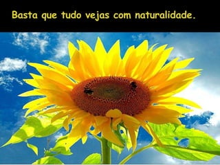 Basta que tudo vejas com naturalidade. 