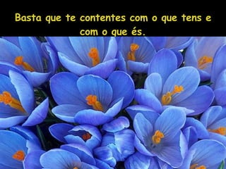 Basta que te contentes com o que tens e com o que és. 