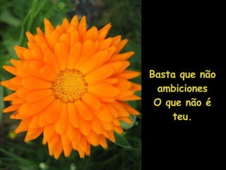 Basta que não ambiciones O que não é teu. 