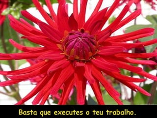 Basta que executes o teu trabalho. 