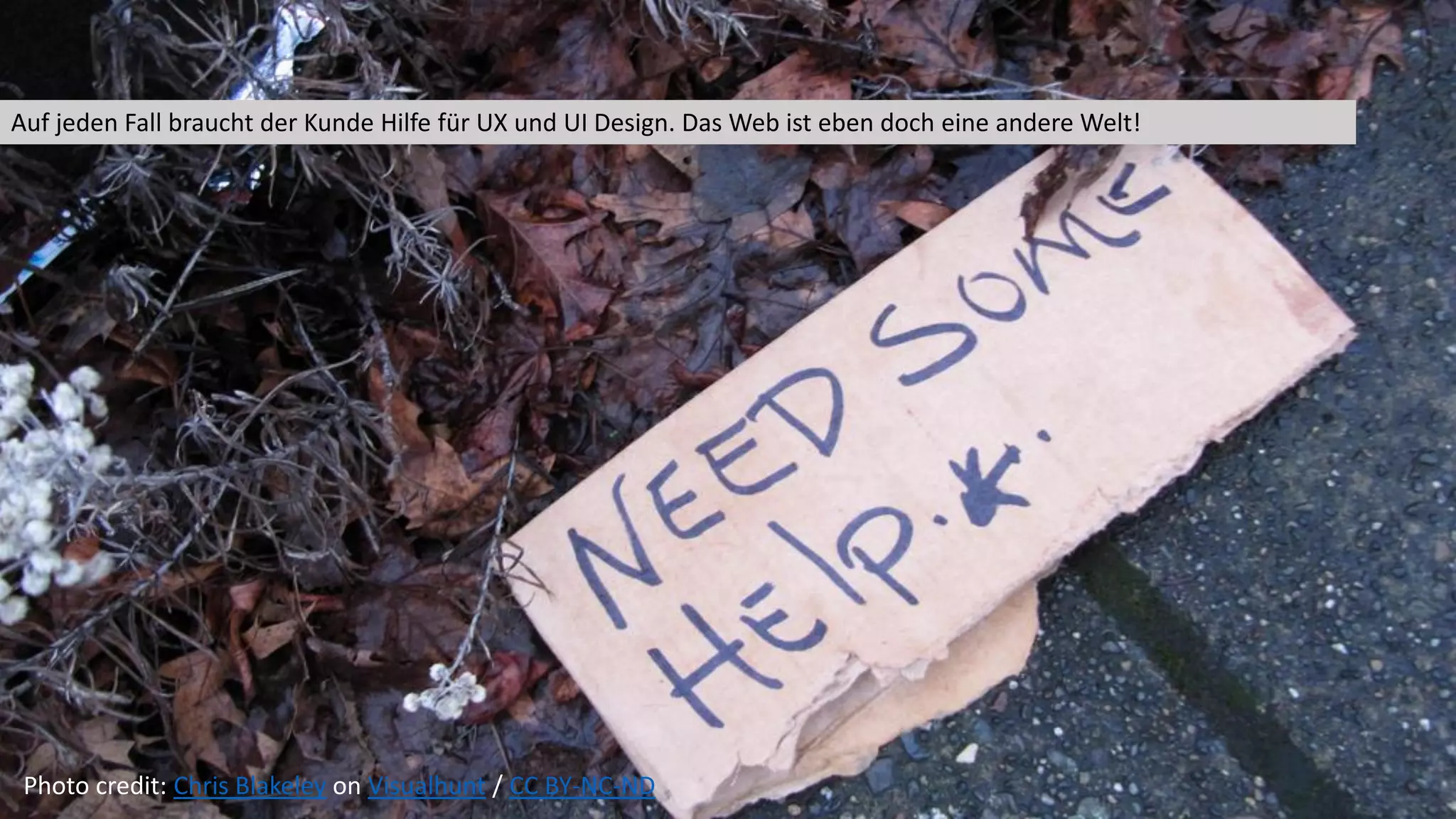 Photo credit: Chris Blakeley on Visualhunt / CC BY-NC-ND
Auf jeden Fall braucht der Kunde Hilfe für UX und UI Design. Das Web ist eben doch eine andere Welt!
 