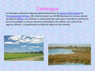 Camargue
La Camargue arlésienne dépend administrativement du canton d'Arles-Ouest de
l'arrondissement d'Arles. Elle s'étend environ sur 40 000 hectares du nord au sud-est
du delta du Rhône. Les Arlésiens y construisent des tours pour contrôler le commerce;
dans la Camargue on trouve des terres céréalières, des rizières, des salins et les
lagunes côtières. La physionomie actuelle du delta est très récente.
 