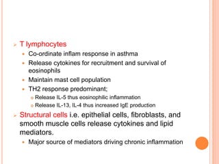  T lymphocytes
 Co-ordinate inflam response in asthma
 Release cytokines for recruitment and survival of
eosinophils
 Maintain mast cell population
 TH2 response predominant;
 Release IL-5 thus eosinophilic inflammation
 Release IL-13, IL-4 thus increased IgE production
 Structural cells i.e. epithelial cells, fibroblasts, and
smooth muscle cells release cytokines and lipid
mediators.
 Major source of mediators driving chronic inflammation
 