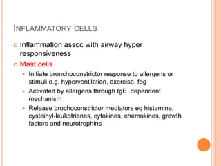 INFLAMMATORY CELLS
 Inflammation assoc with airway hyper
responsiveness
 Mast cells
 Initiate bronchoconstrictor response to allergens or
stimuli e.g. hyperventilation, exercise, fog
 Activated by allergens through IgE dependent
mechanism
 Release brochoconstrictor mediators eg histamine,
cysteinyl-leukotrienes, cytokines, chemokines, growth
factors and neurotrophins
 
