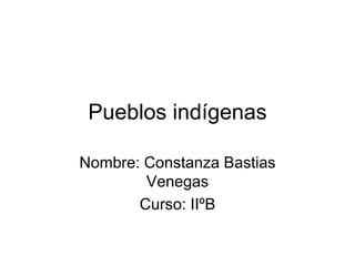 Pueblos indígenas
Nombre: Constanza Bastias
Venegas
Curso: IIºB
 