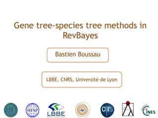 Gene tree-species tree methods in 
RevBayes 
Bastien Boussau 
LBBE, CNRS, Université de Lyon 
 